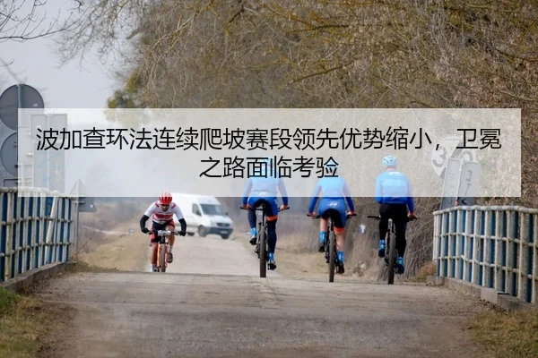 bo-jia-cha-huan-fa-lian-xu-pa-po-sai-duan-ling-xian-you-shi-suo-xiao-wei-mian-zhi-lu-mian-lin-kao-yan-2-577.jpg