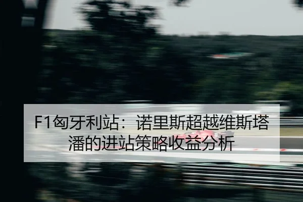 xiong-ya-li-zhan-nuo-li-si-chao-yue-wei-si-ta-pan-de-jin-zhan-ce-lve-shou-yi-fen-xi-2-131.jpg